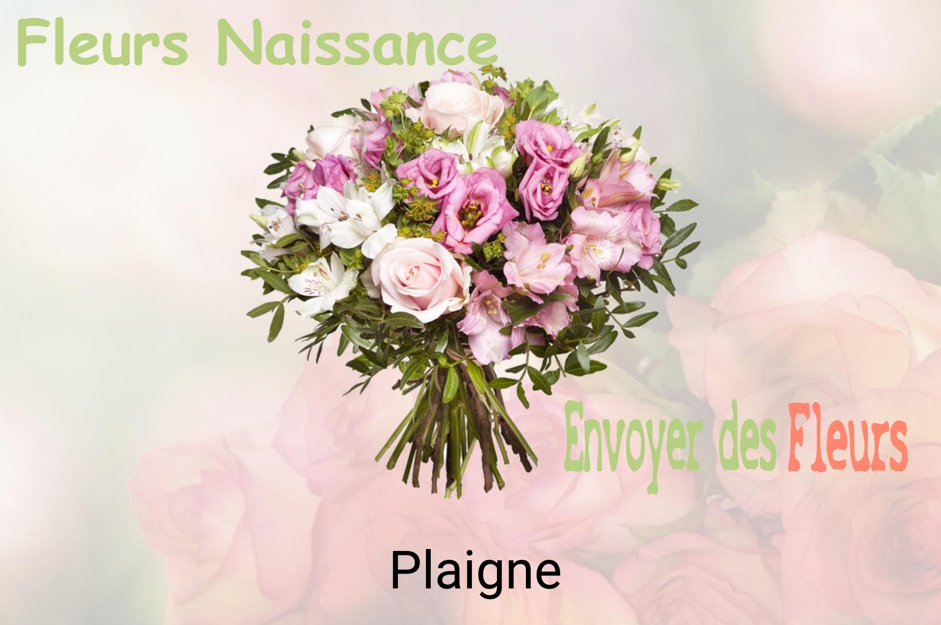 Bouquet de fleurs de naissance livré à Plaigne